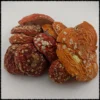 buy amanita muscaria canada